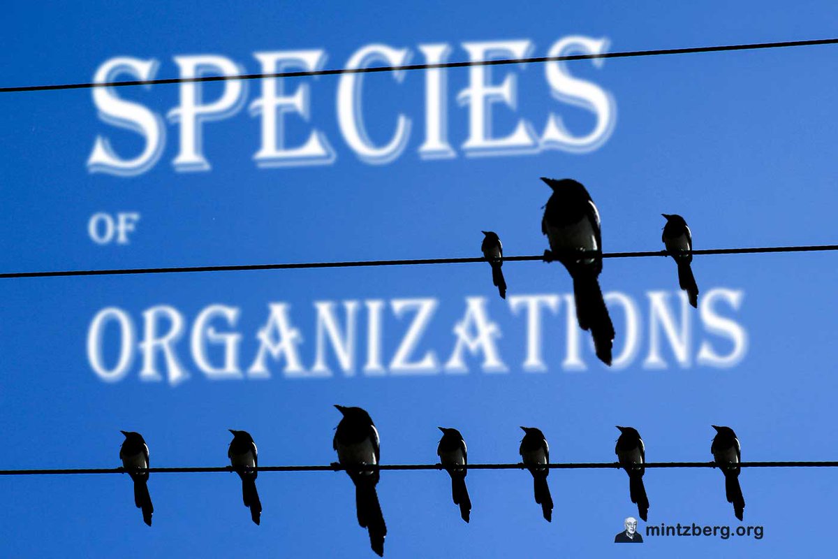 Mintzberg141's tweet image. There are species of organizations just as there are species of animals. Don’t mix them up. A bear is not a beaver. Hospitals are not factories; advertising agencies are not fast food companies. #organization #structure #management
mintzberg.org//blog/organiza…