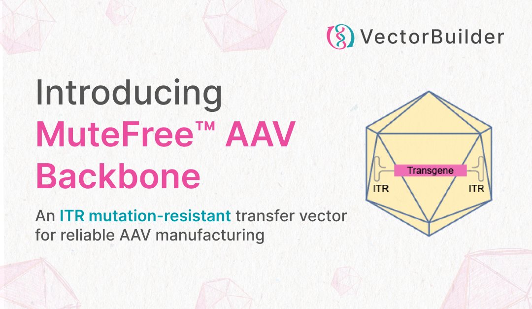 VectorBuilder tweet media