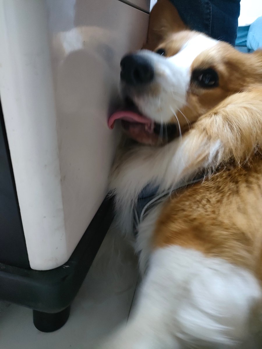 denise ward tweet media