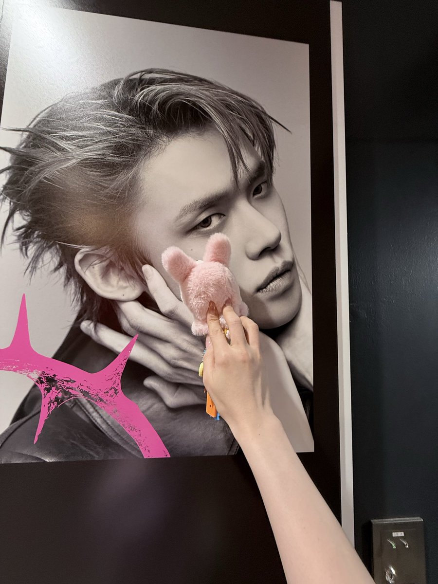 さあ🦊 tweet media