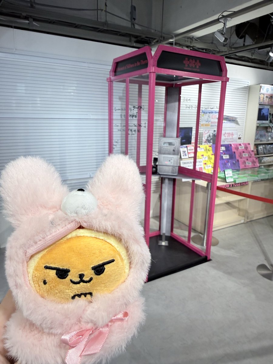 さあ🦊 tweet media