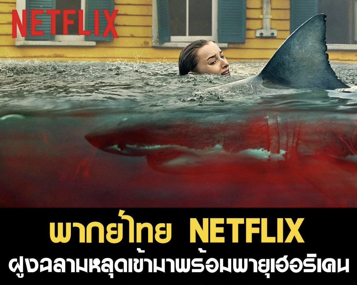 ✨หารnetflixราคาถูก/หารiqiyi~แอคสำรอง🎀 tweet media