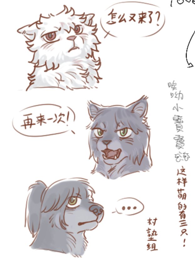 川砜夜谈 tweet media