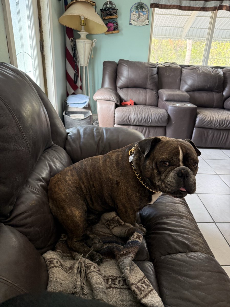 Rosemarie Lane 🇺🇸🏴☠️🏝🎣🐶 tweet media