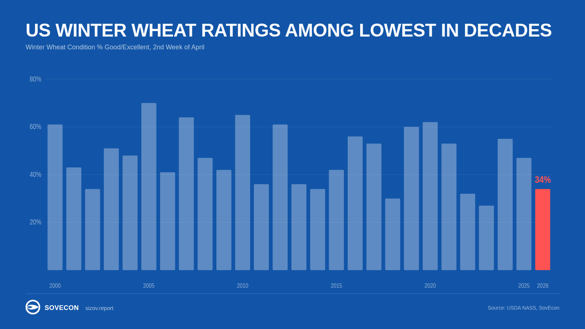 sizov_andre's tweet image. People keep talking about “rains in the Plains” without checking where they actually fall.

The problem is that a big part of the winter #wheat regions (i.e. western Kansas) is still being missed. Good/excellent ratings dropped again last week and now stand at 34% - one of the