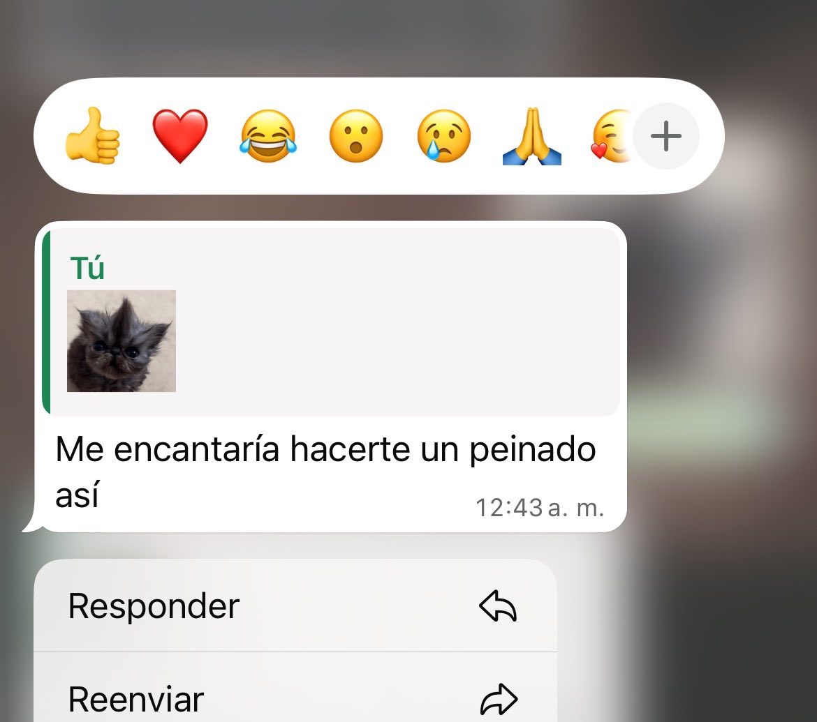 bi_lcs's tweet photo. Mi novio 😂 https://t.co/q8GSV0CCyq