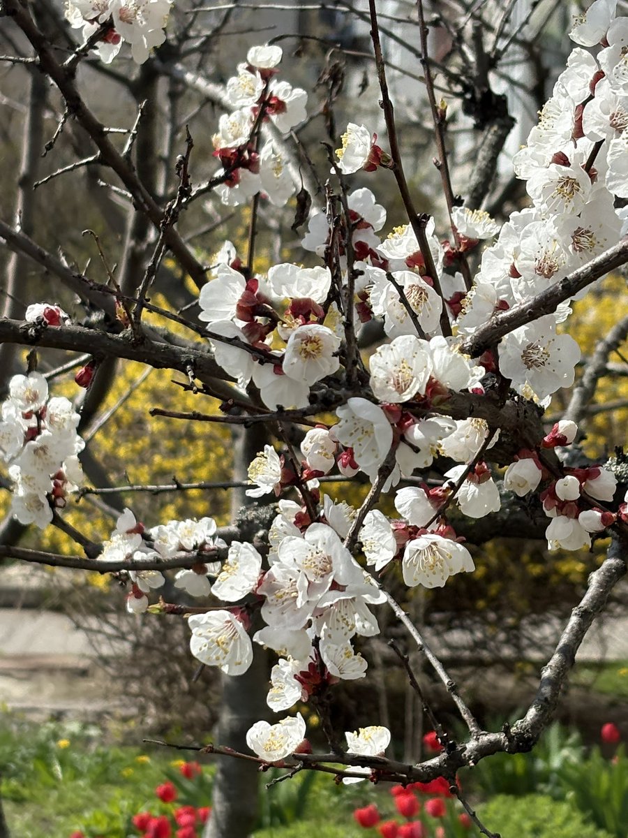 Olga Patlyuk 🇺🇦 tweet media