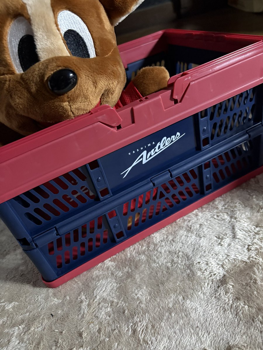 macaron♂ tweet media