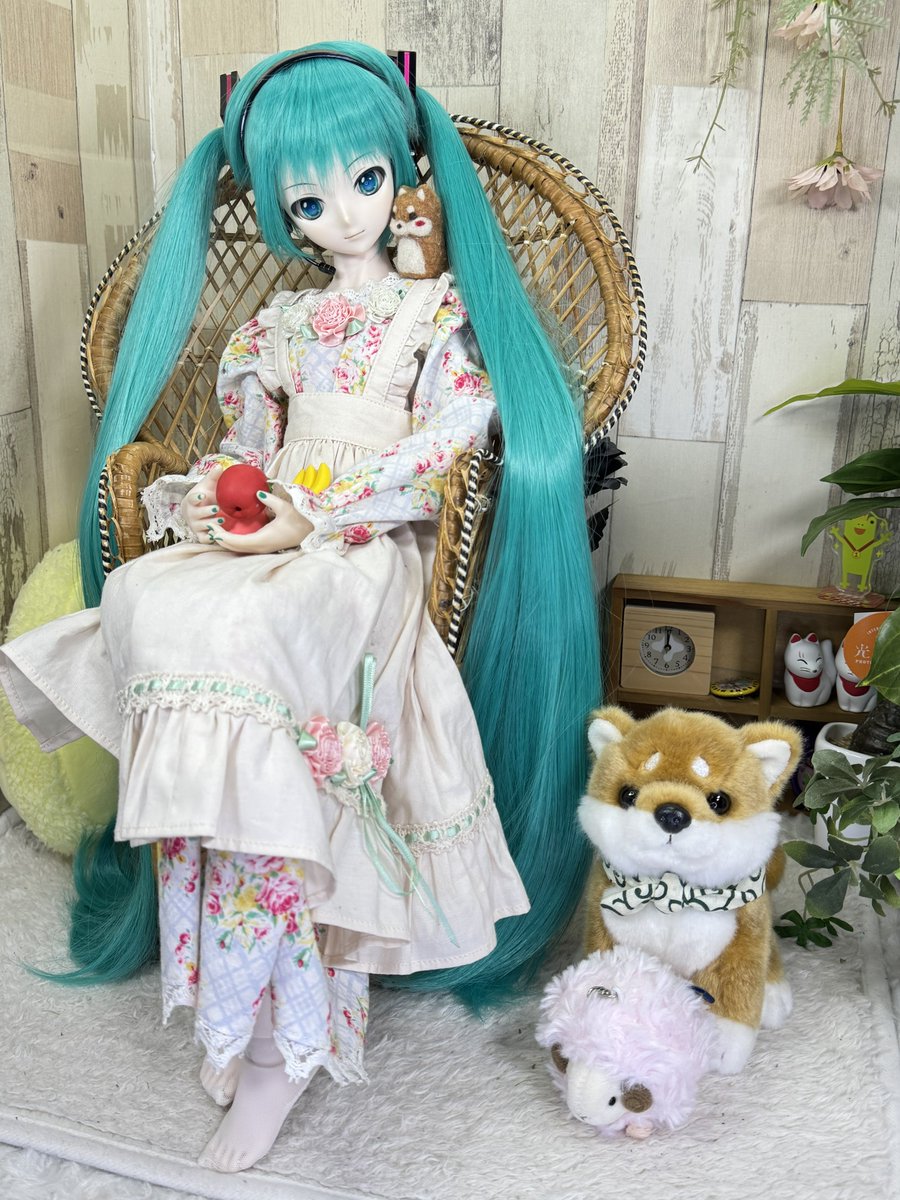 くまきち tweet media