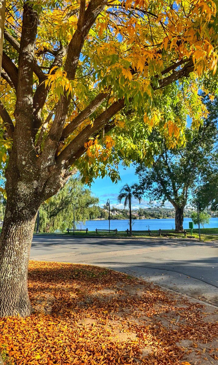 SecTurismoVCPaz's tweet photo. En otoño, Villa Carlos Paz se pinta de tonos cálidos, de aire fresco y paisajes que enamoran 🍂
Pero lo que realmente la hace única no cambia con las estaciones: su identidad. ���
Está en su gente, en nuestras calles y en cada momento que te hace sentir parte. https://t.co/Dc0mjh2dkH