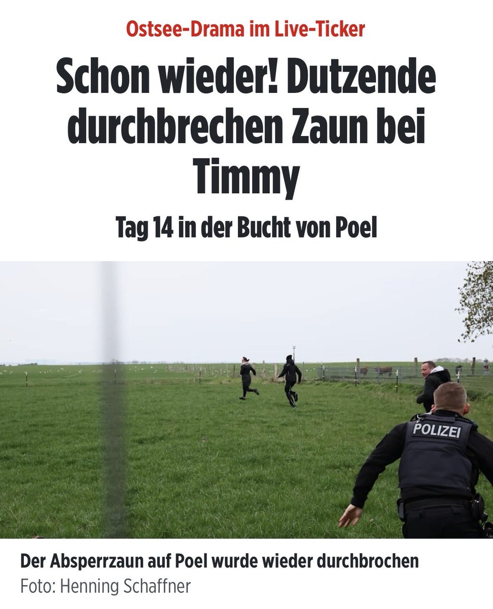 kofferraumbelademeister (enzephaloparty) tweet media