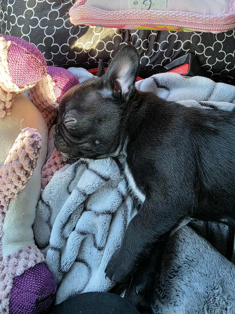 WowTheShitIveSeen tweet media