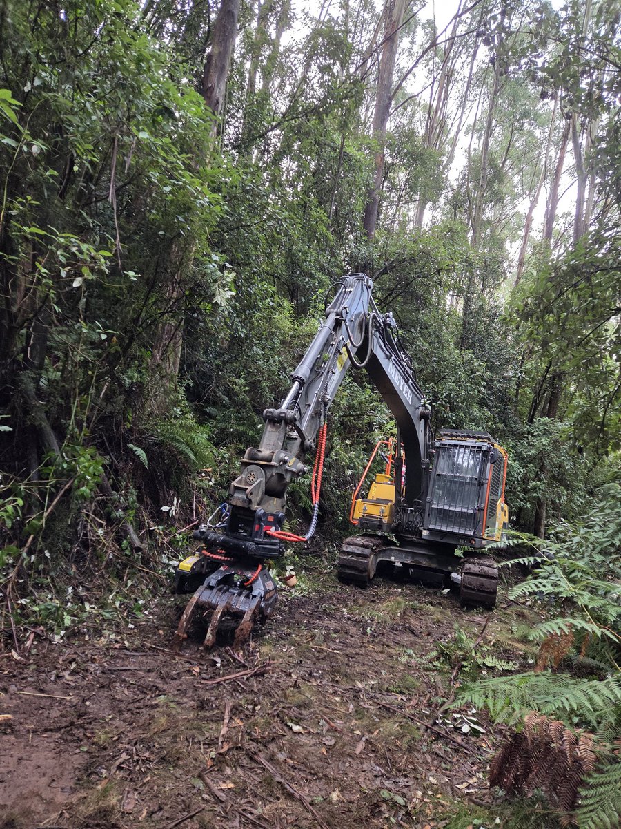 Jordan Crook tweet media