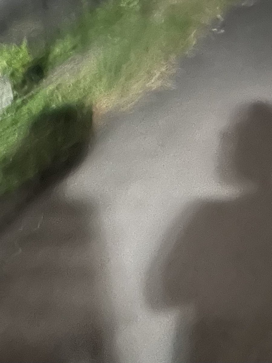 lea☃︎ tweet media