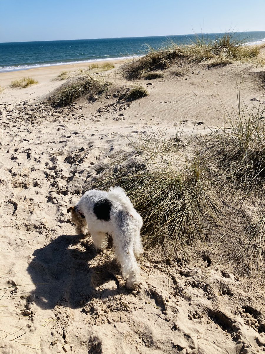 Carol Barrett Ford tweet media