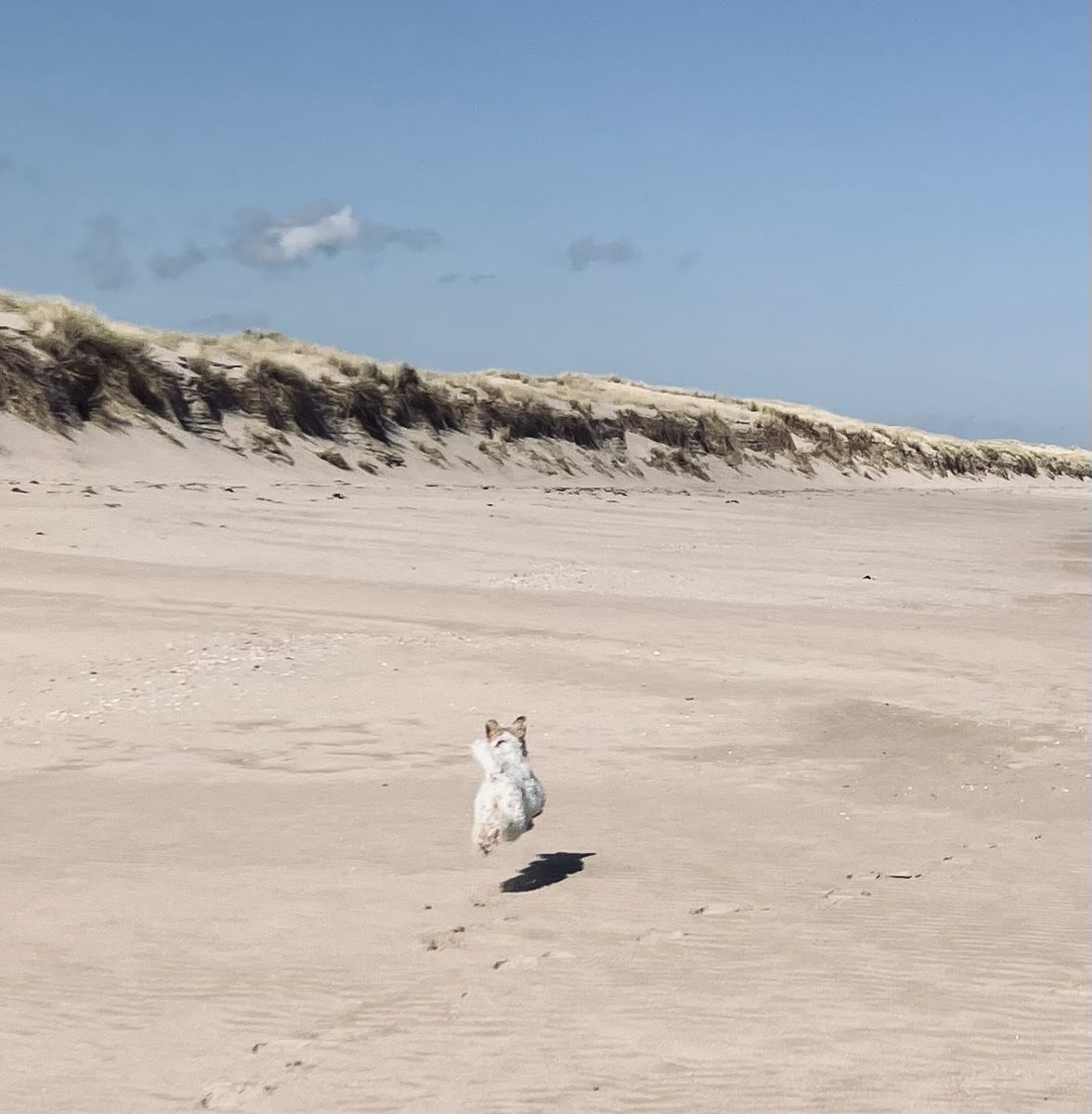 Carol Barrett Ford tweet media