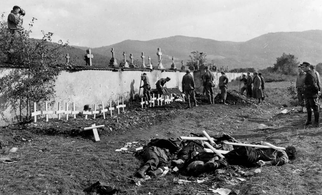 VertigoPolitix tweet media