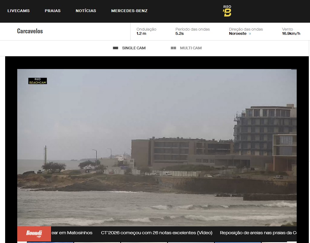 Dependentes de Cascais tweet media