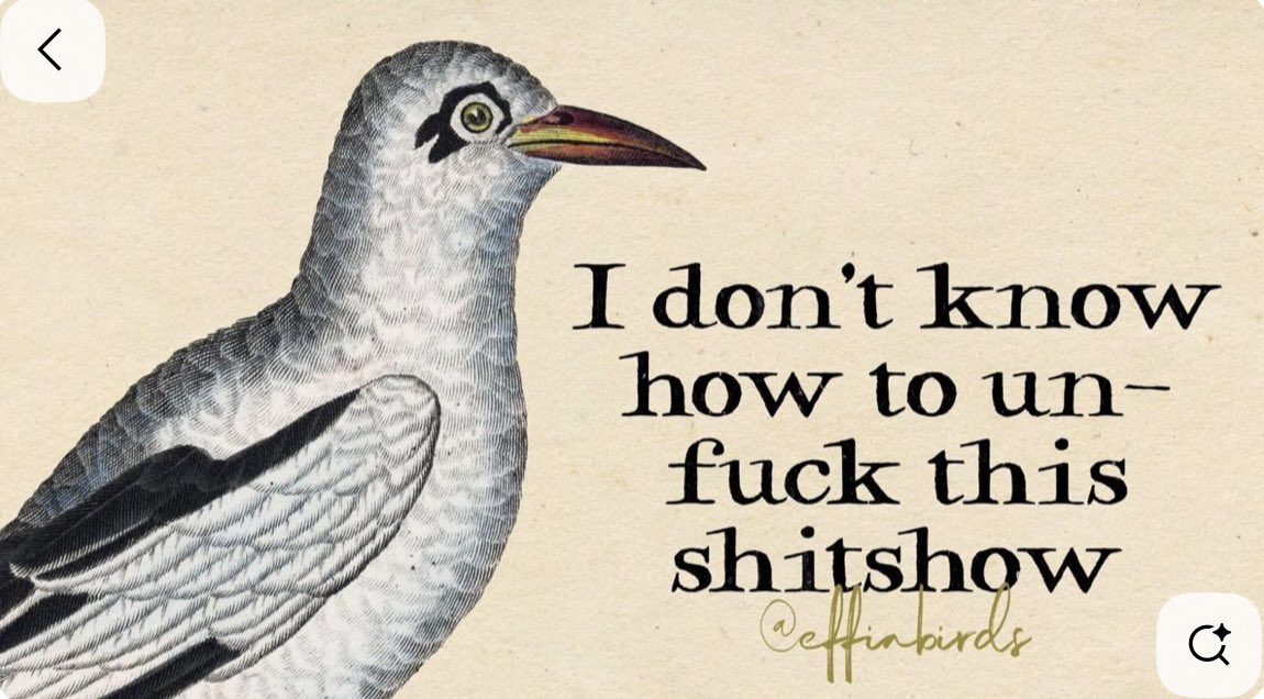 SaskLass tweet media