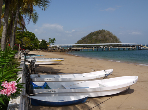 Taboga Panamá 🇵🇦 tweet media