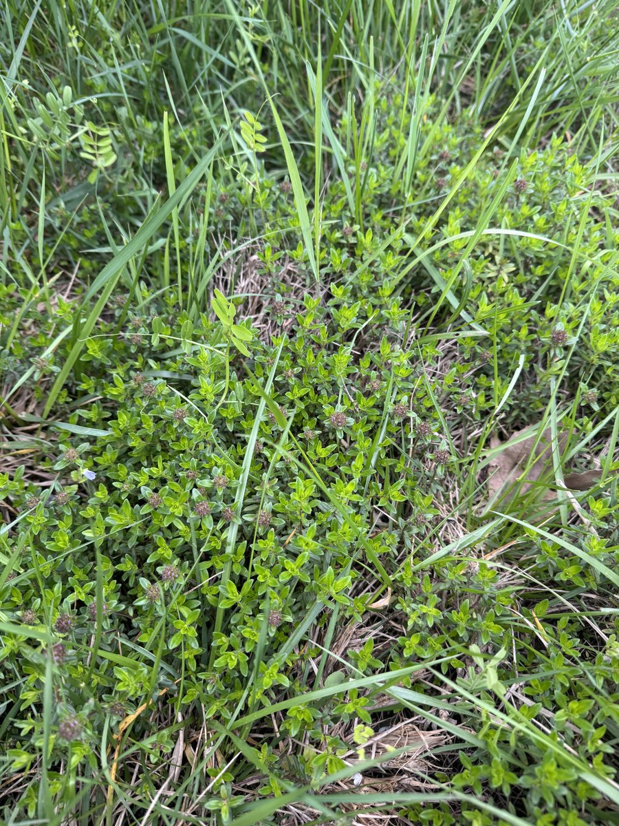 Evîndaaar tweet media