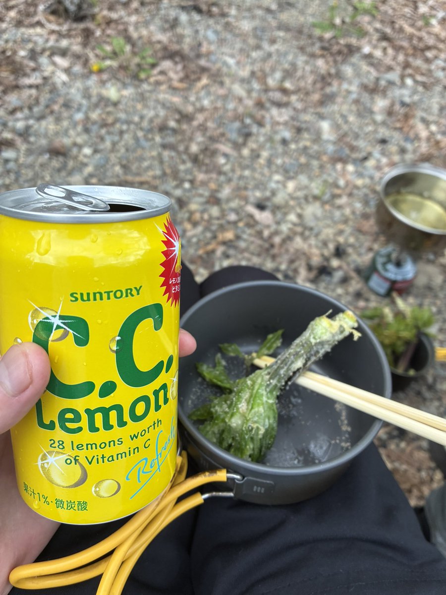 ronekosa's tweet photo. 山で山菜と天然きのことって天ぷらにして食ってきた
タラの芽、うど、コシアブラ、ゆりめ、しいたけ

白米がまじ美味かった https://t.co/XccXbbKzDu