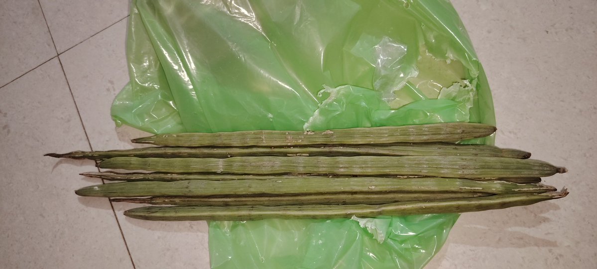 Dear zindagi tweet media