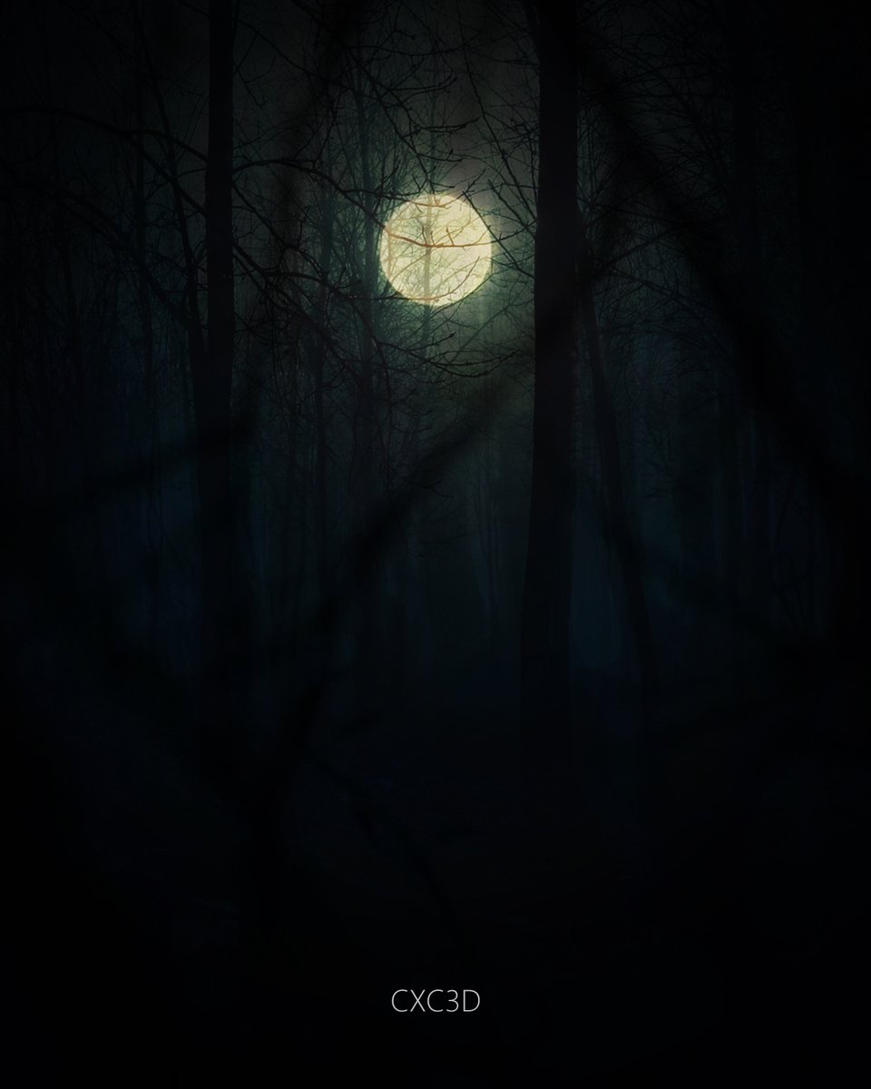 CXC3D's tweet photo. Night https://t.co/bcT9YscJoC