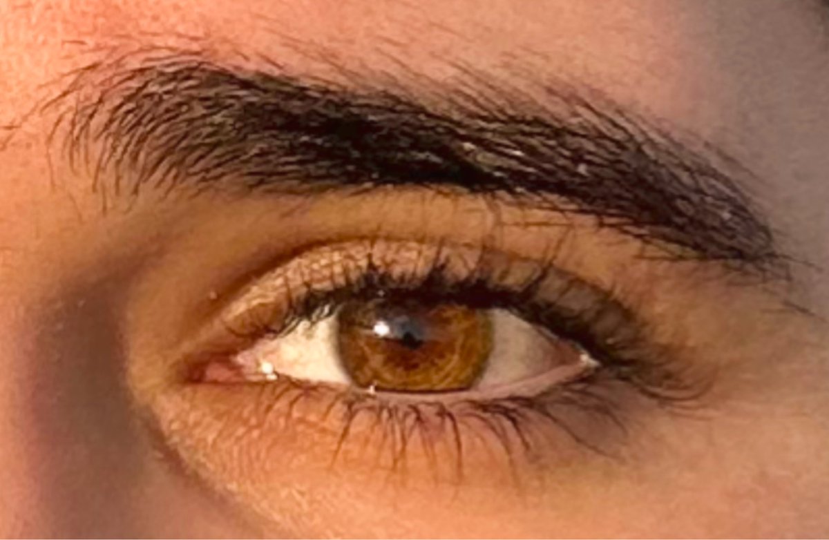 DistortusREX tweet media