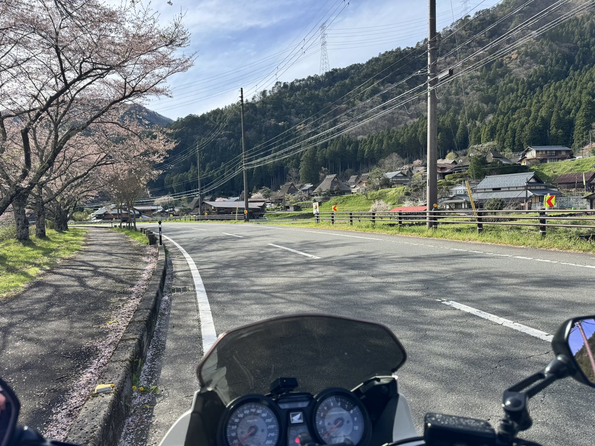 ryuok67's tweet photo. 今年初乗りしてました^_^
茅葺の里はもう桜は寂しかった🌸
天気はよかったから100Kmそこそこだったけど気持ちよかった🏍️💨 https://t.co/fPDLHPKsNE