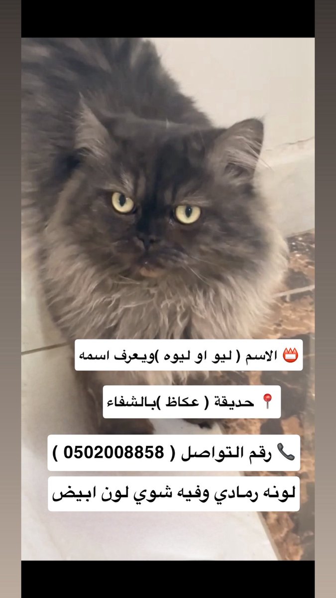 Shahad Fh9 tweet media