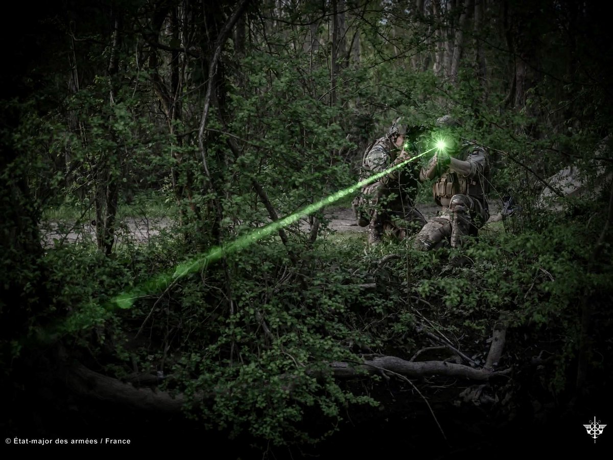 1er corps d'armée - 1 French Corps tweet media