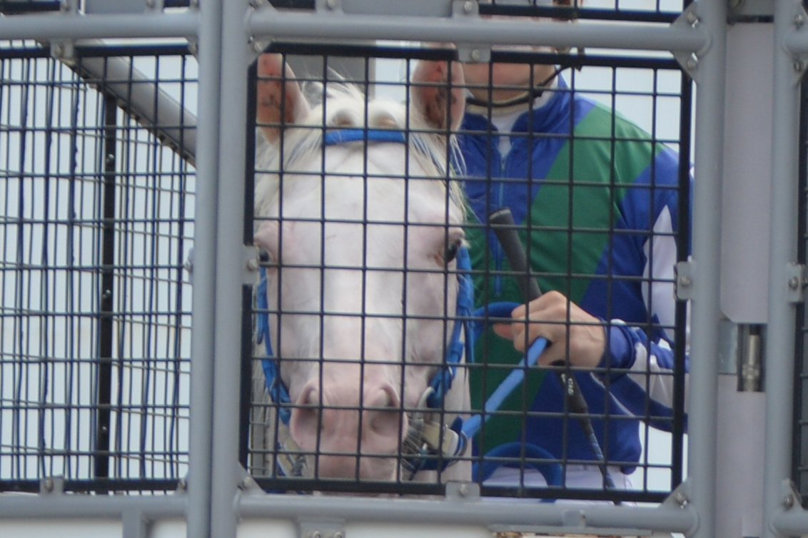 エレ(「1日1らき」投稿中) tweet media