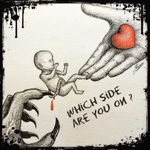 Ray-Ray Green tweet media