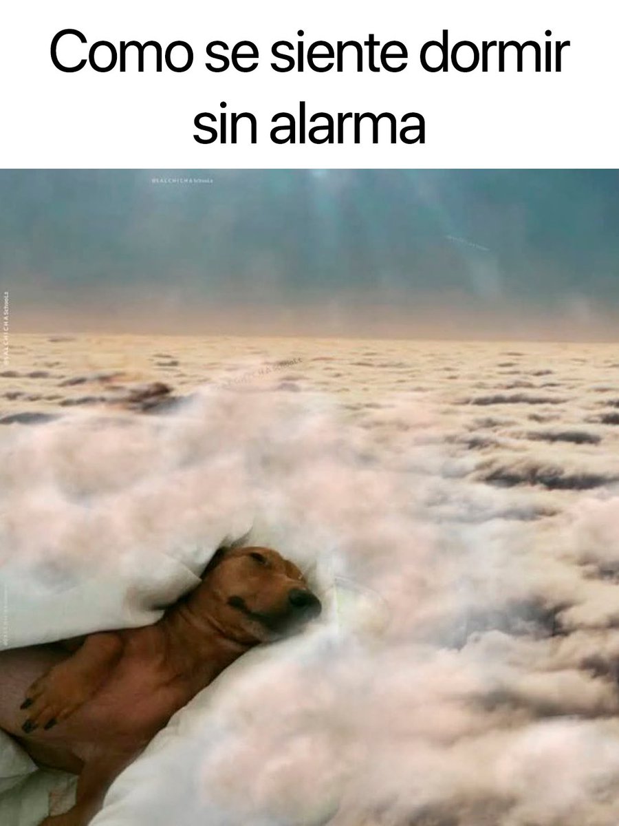 Cabronazi tweet media