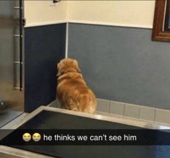 StyleSeeker tweet media