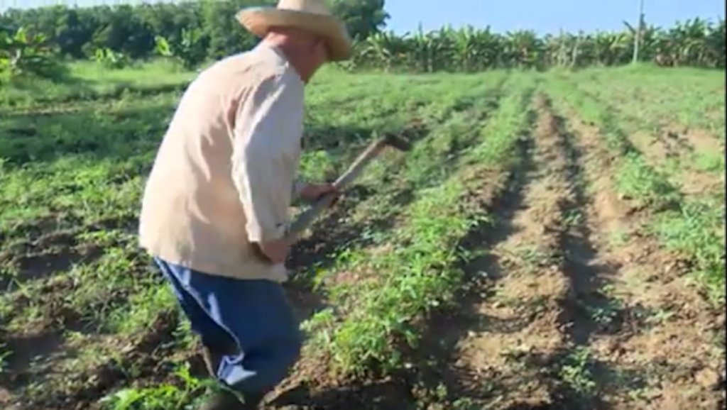 Perlavisión TV tweet media