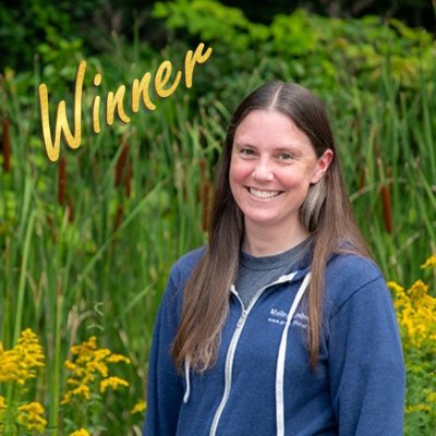 DirectMail2.0 tweet media