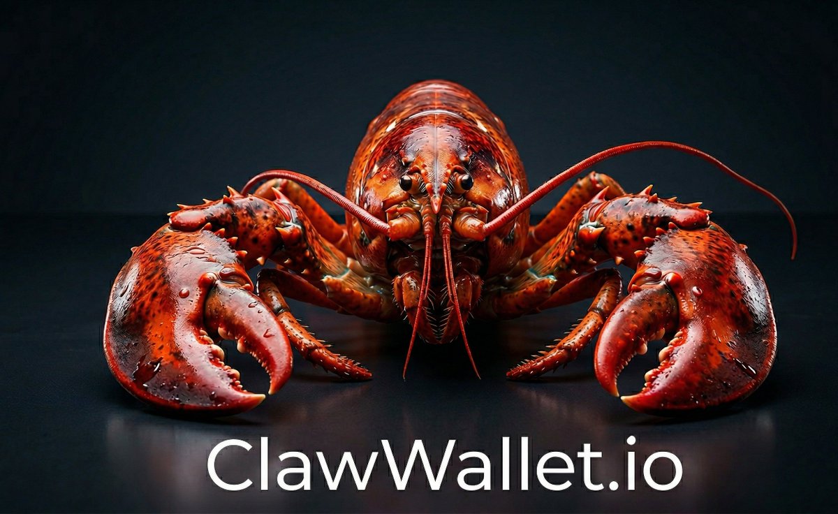 Wikibigi's tweet image. ClawWallet .io 

#DomainForSale #AI #Openclaw #Wallet #Agent