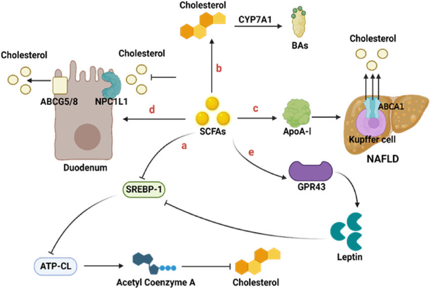 George Ferman tweet media