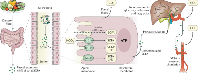 George Ferman tweet media