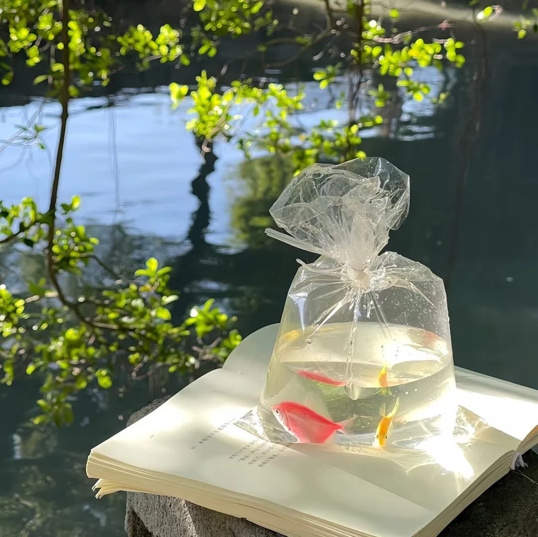 BENI 🐕 Base tweet media