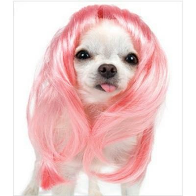 김은경 tweet media