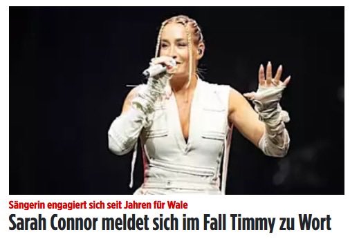 Systemsprenger tweet media