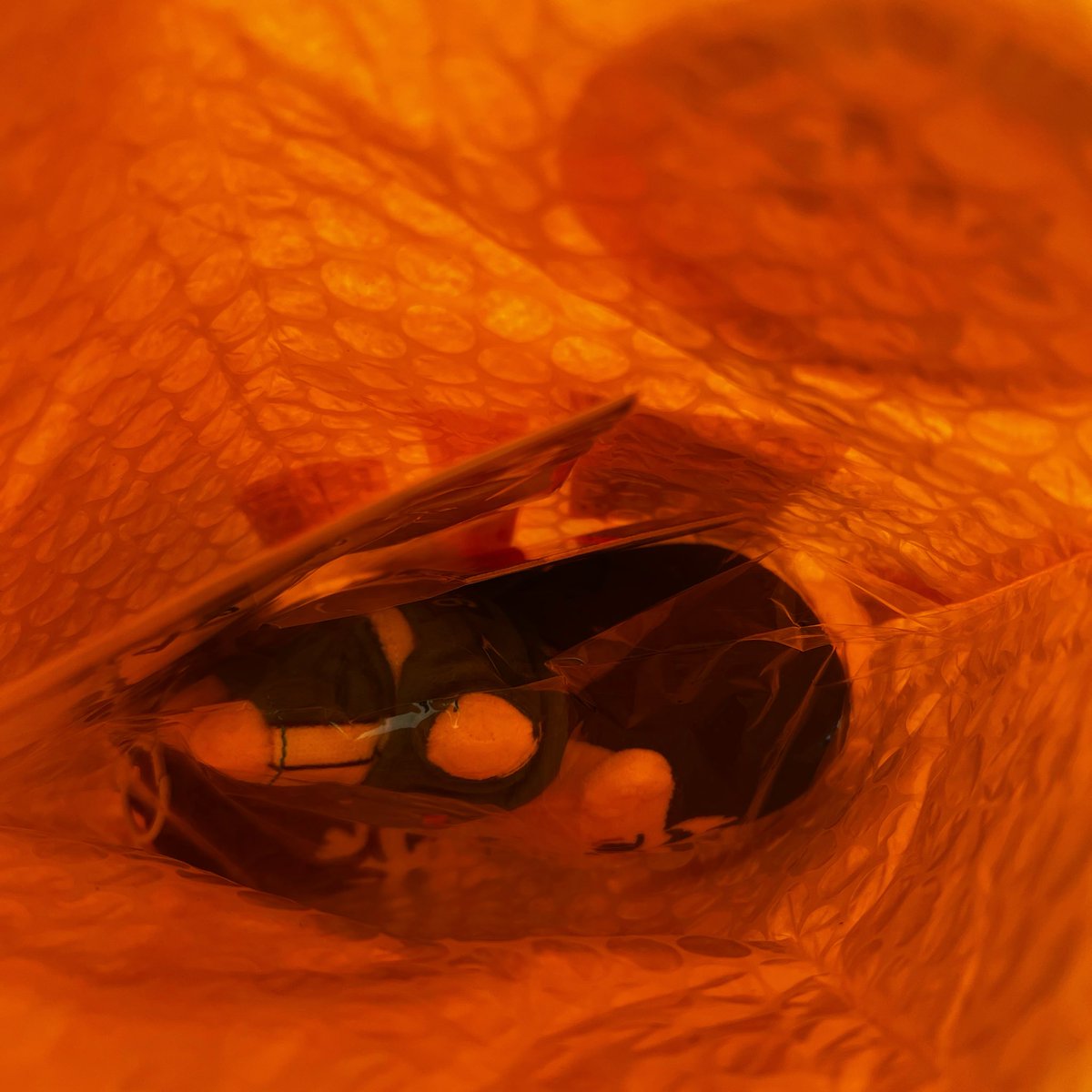 _mangomilkart_'s tweet image. I can’t believe this isn’t a dream and they are actually here with me