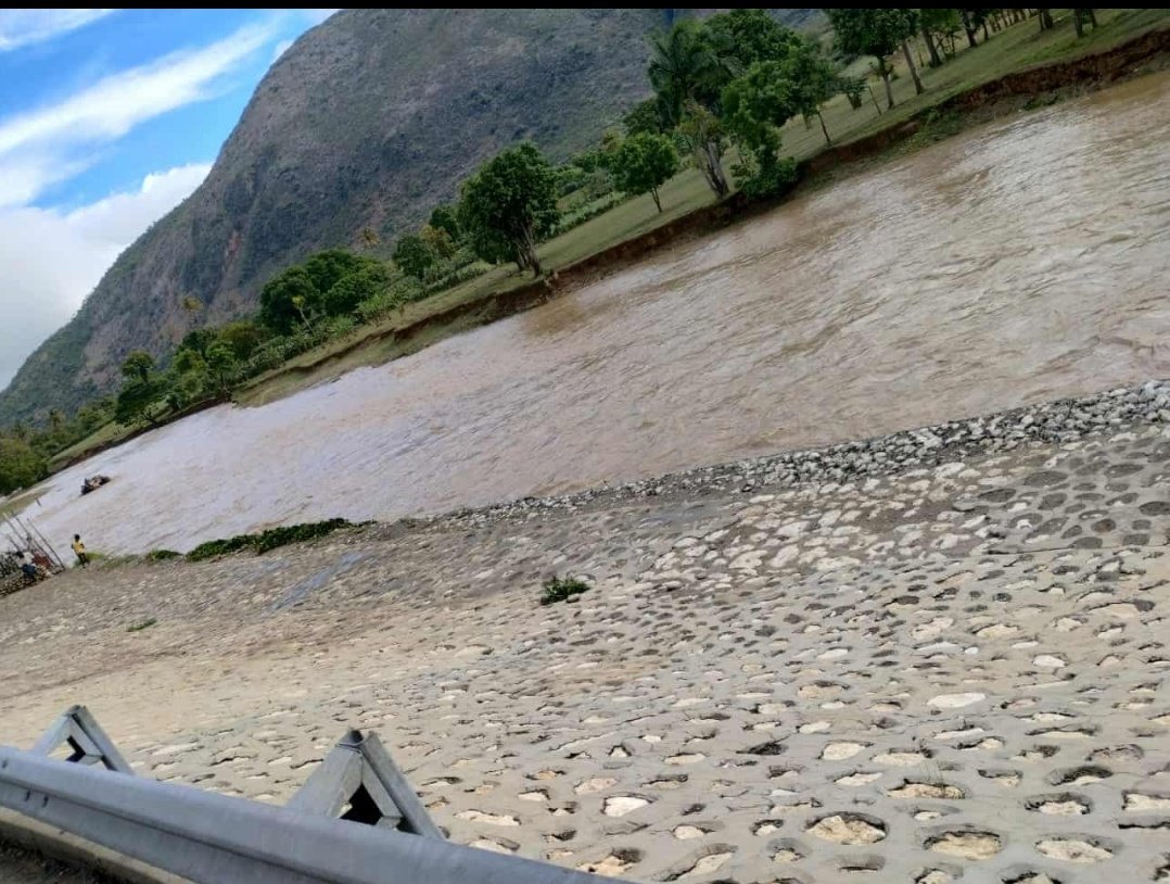 LUNIE JOSEPH 🇭🇹 tweet media