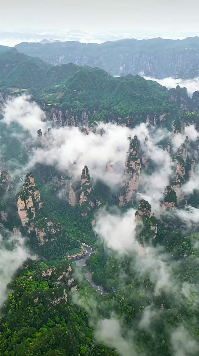 karina martin tweet media