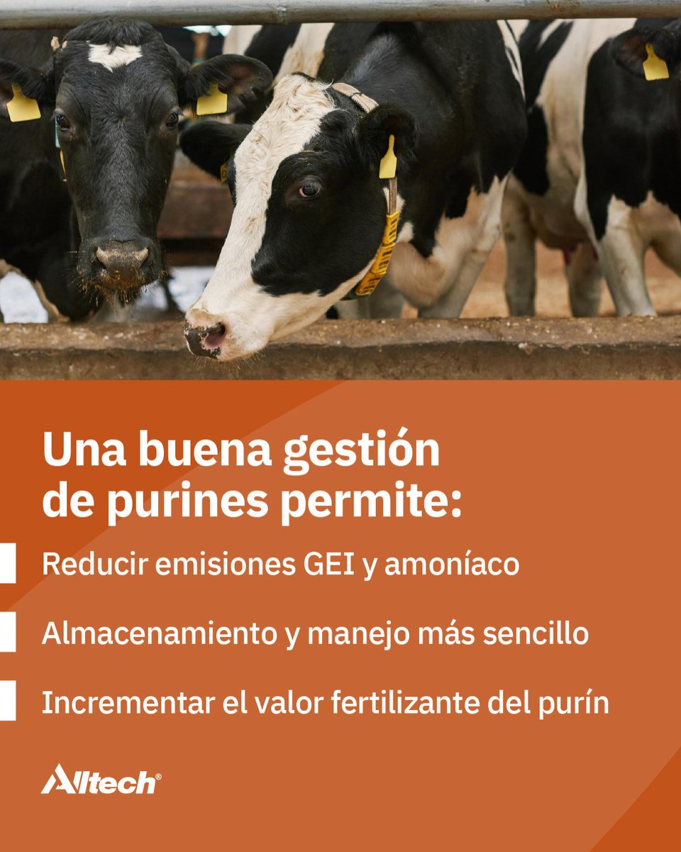 AlltechSpain's tweet photo. Estaremos en la Jornada de Innovación, Ciencia &amp; Sostenibilidad Láctea que organiza ODOS, tratando el rol de la nutrición de precisión, la mejora de la eficiencia, salud e inmunidad de los animales además de los beneficios de la gestión de los purines en la sostenibilidad. https://t.co/DTnCHCNJsT