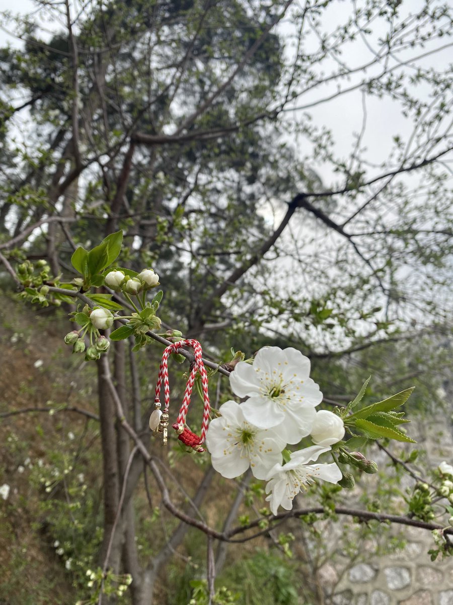 Şeyyy👉👈benim biraz acelem var daa,sonuçlar ne zaman çıkar acaba😌😅