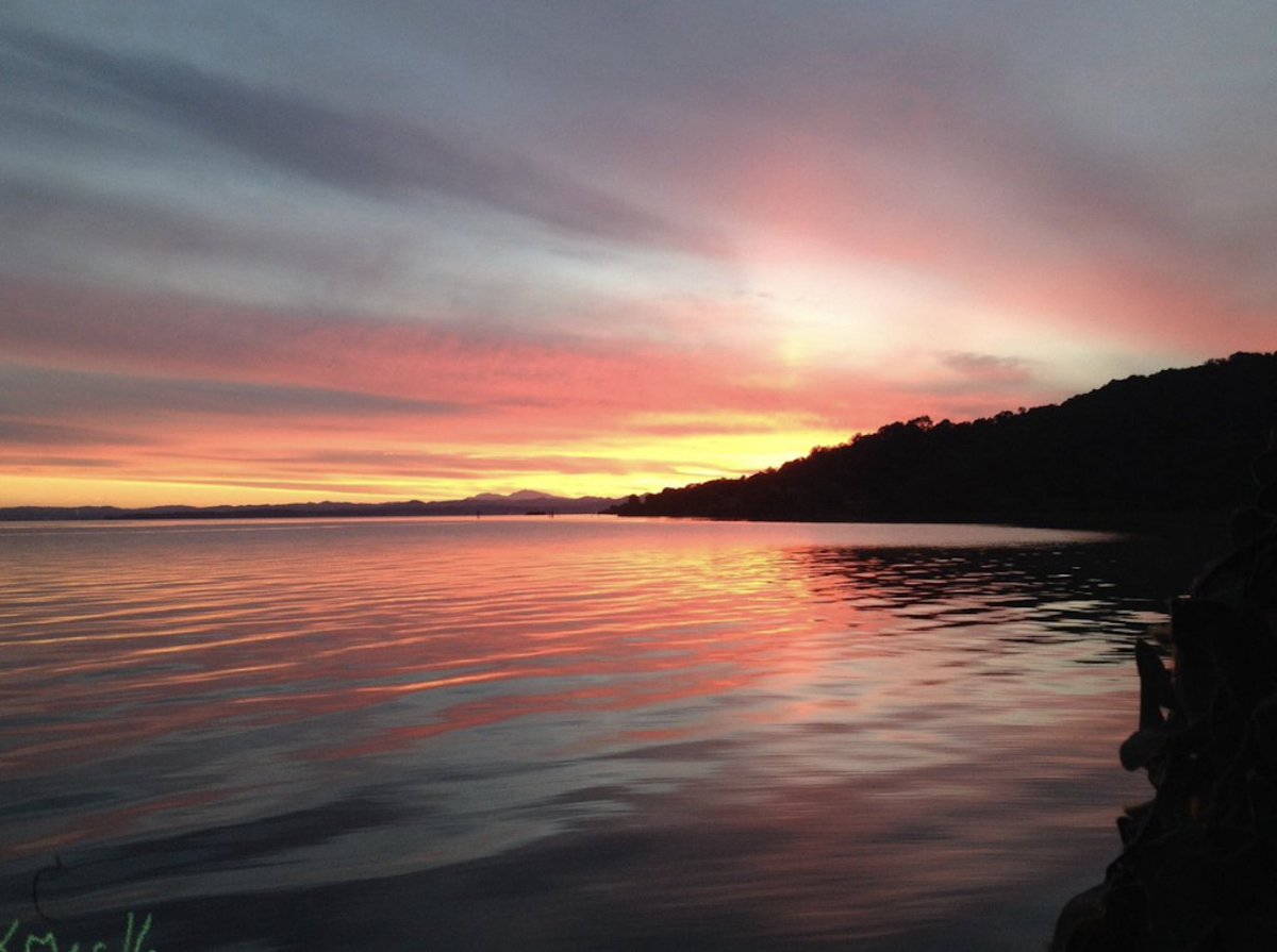 Southern Grace 🔥✨ tweet media